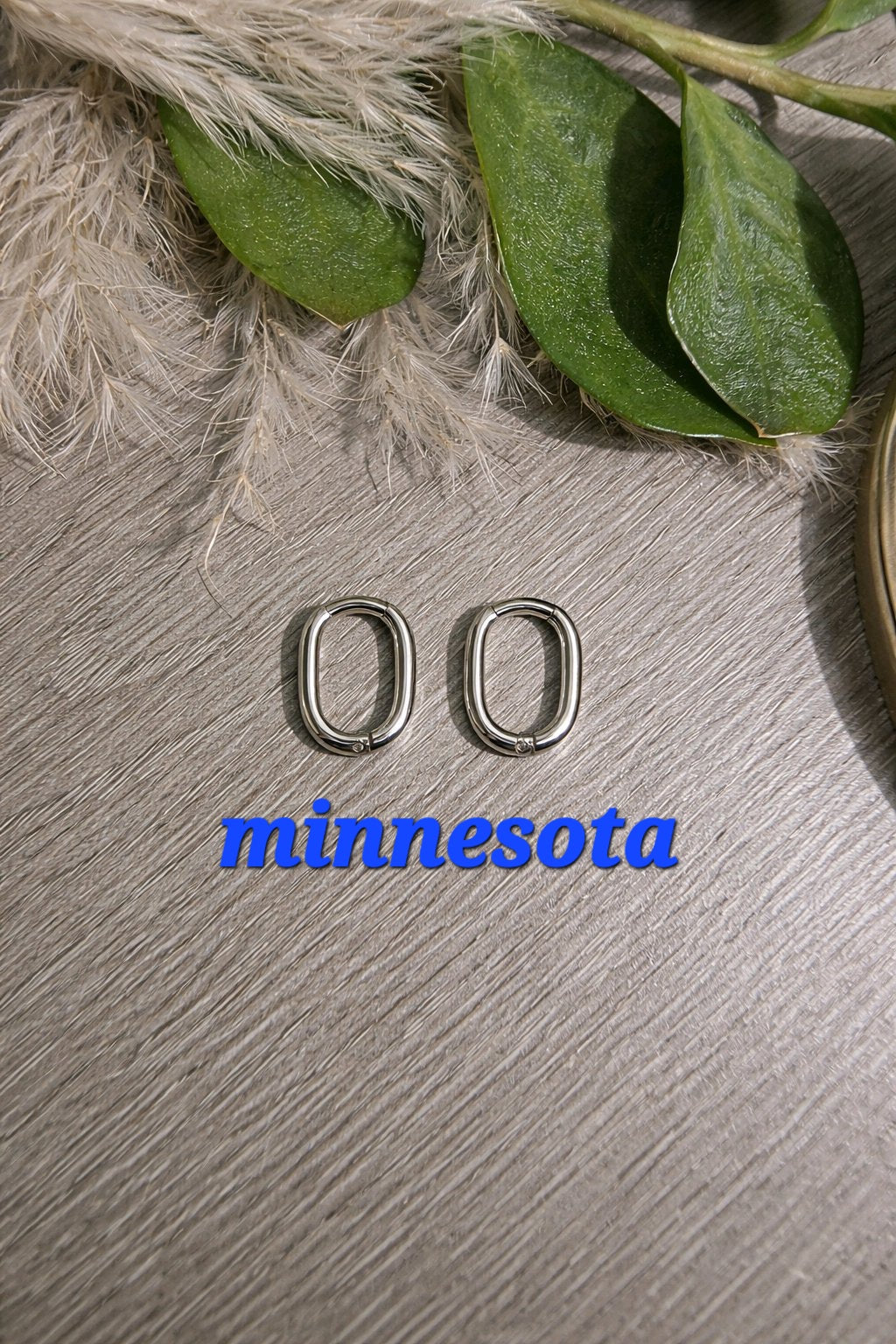 Créoles Minnesota couleur argent - la fabrique à pampilles