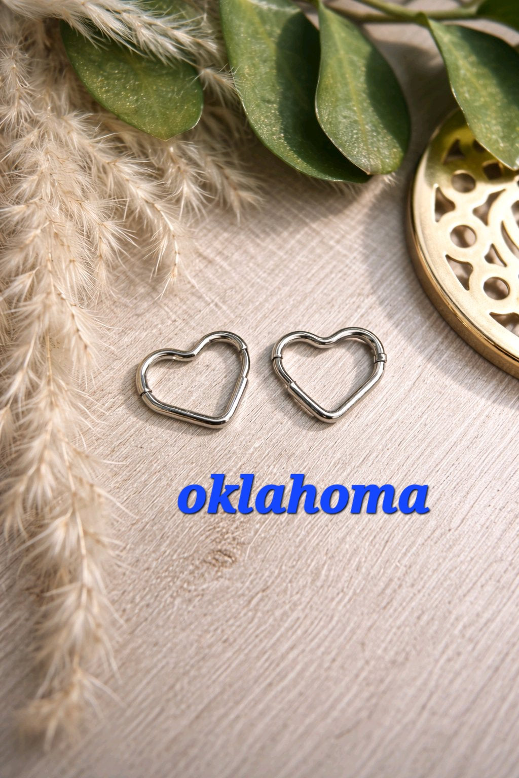 Créoles Oklahoma couleur argent - la fabrique à pampilles